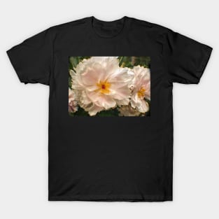 Soft White Peony T-Shirt